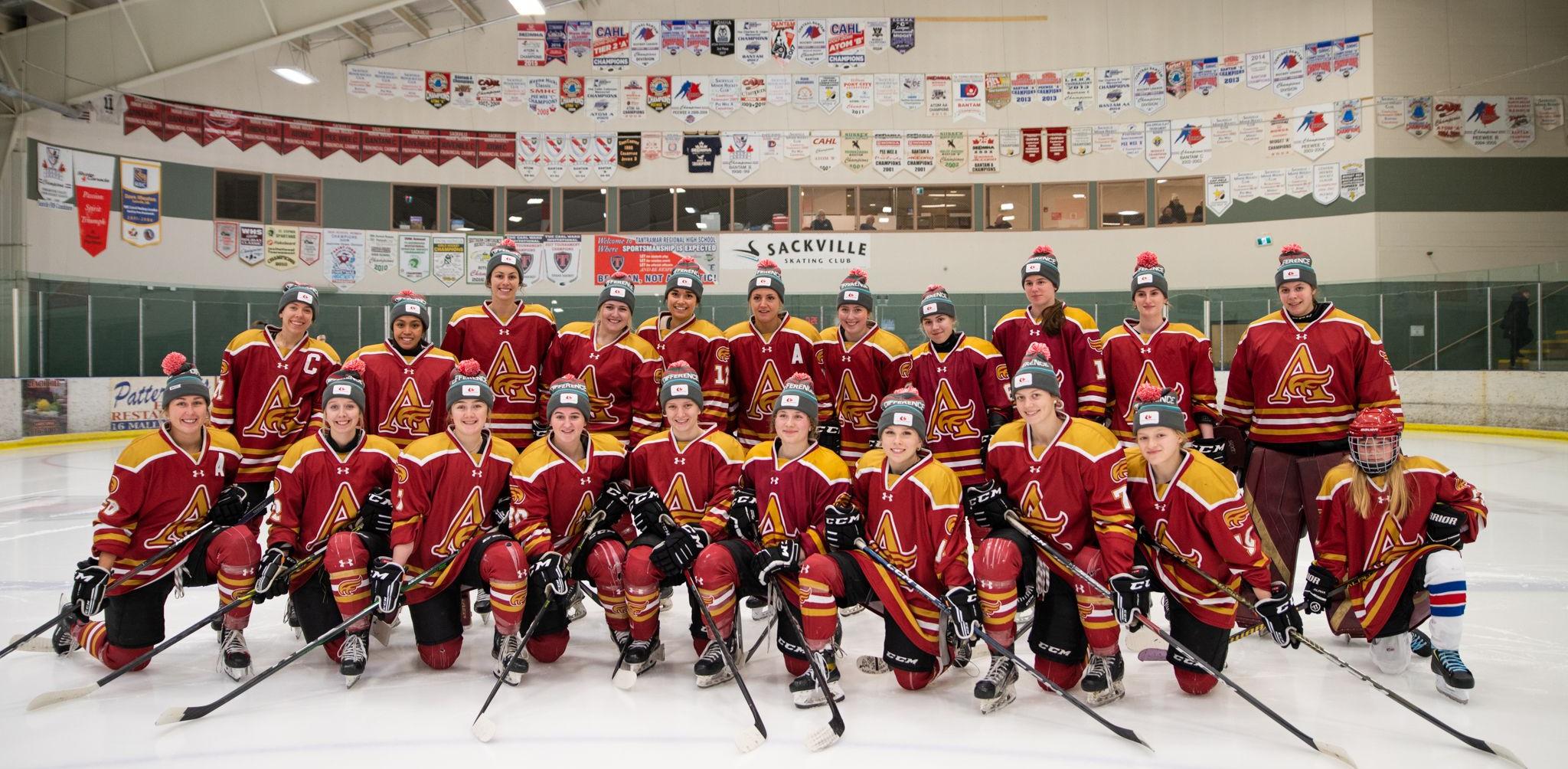 Mounties recognize Hockey Gives Blood campaign before game against Panthers